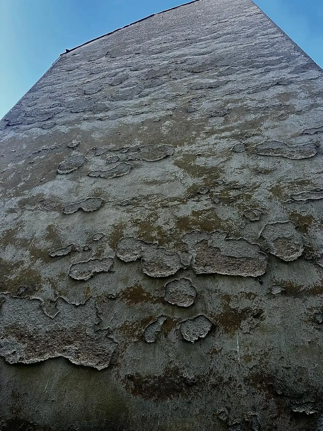 dekorative Wand von Don Immobilien